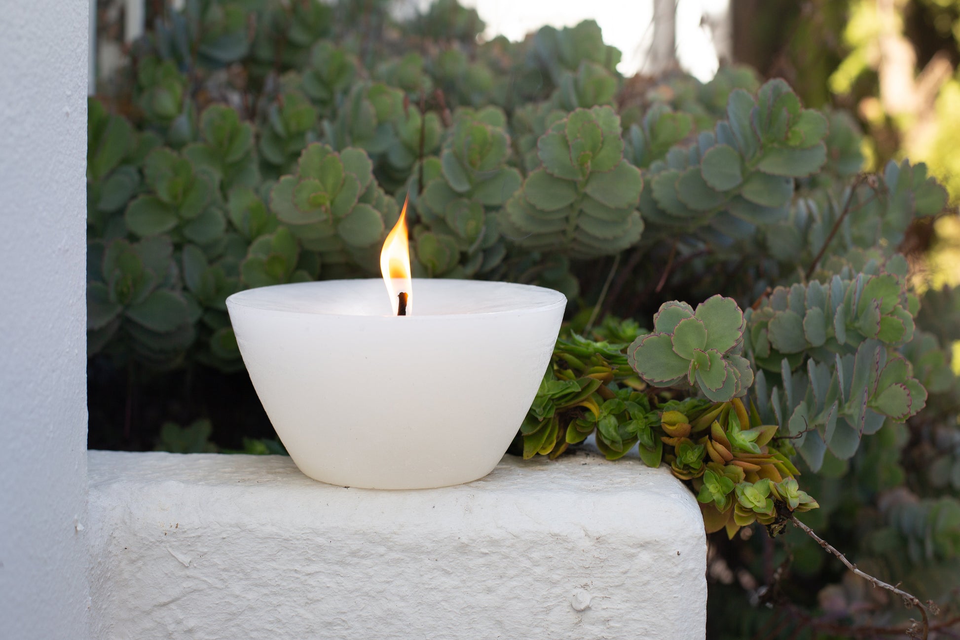 Luma Afrika Outdoor Bowl candle 5" width sitting outside on a ledge.  Infused with citronella & lavender to repell insects. 
