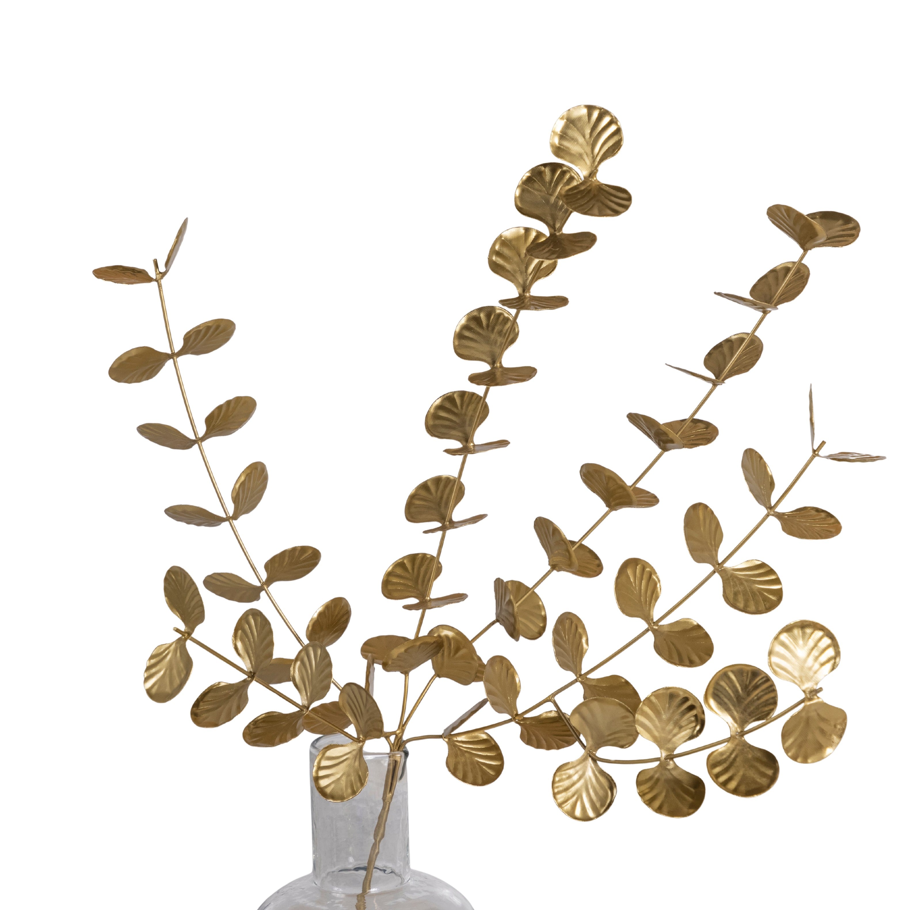 Botanical Stem, Eucalyptus