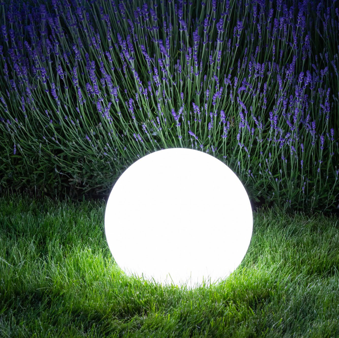 Haverst Moon Lantern at night glowing white