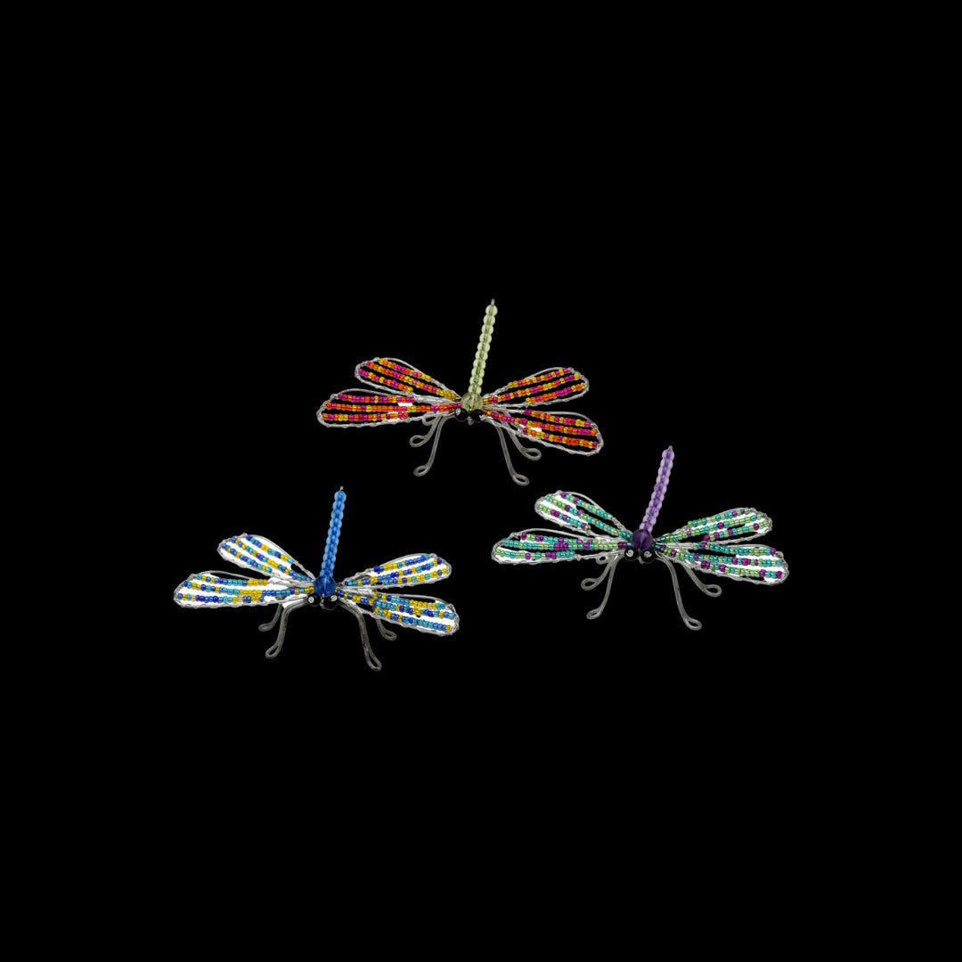 colorful dragonflies Extol Accessories