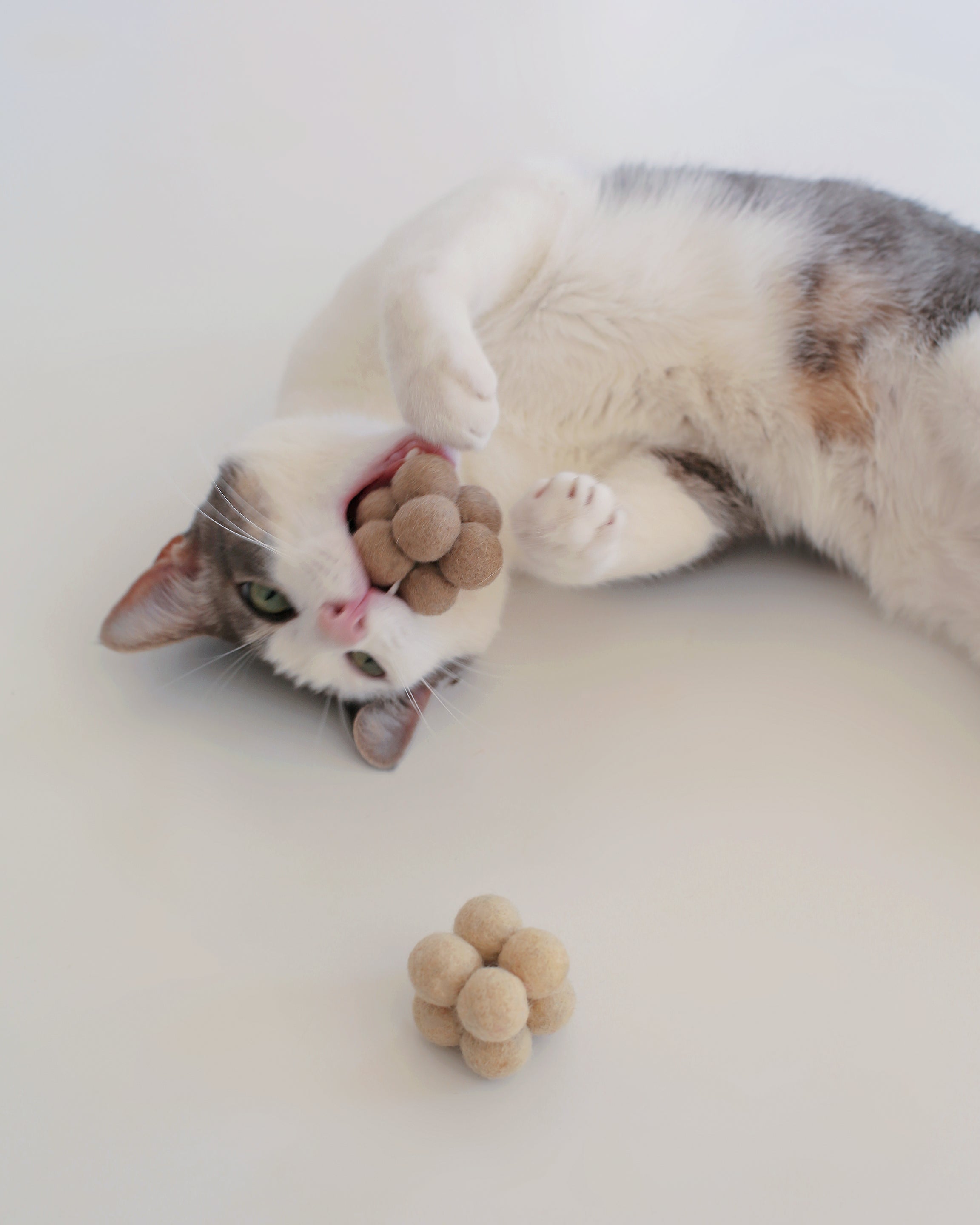 Pearl Toys