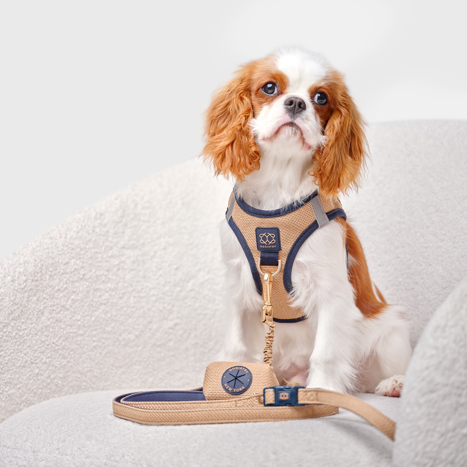 3-in-1 City Dog Leash - Hamptons