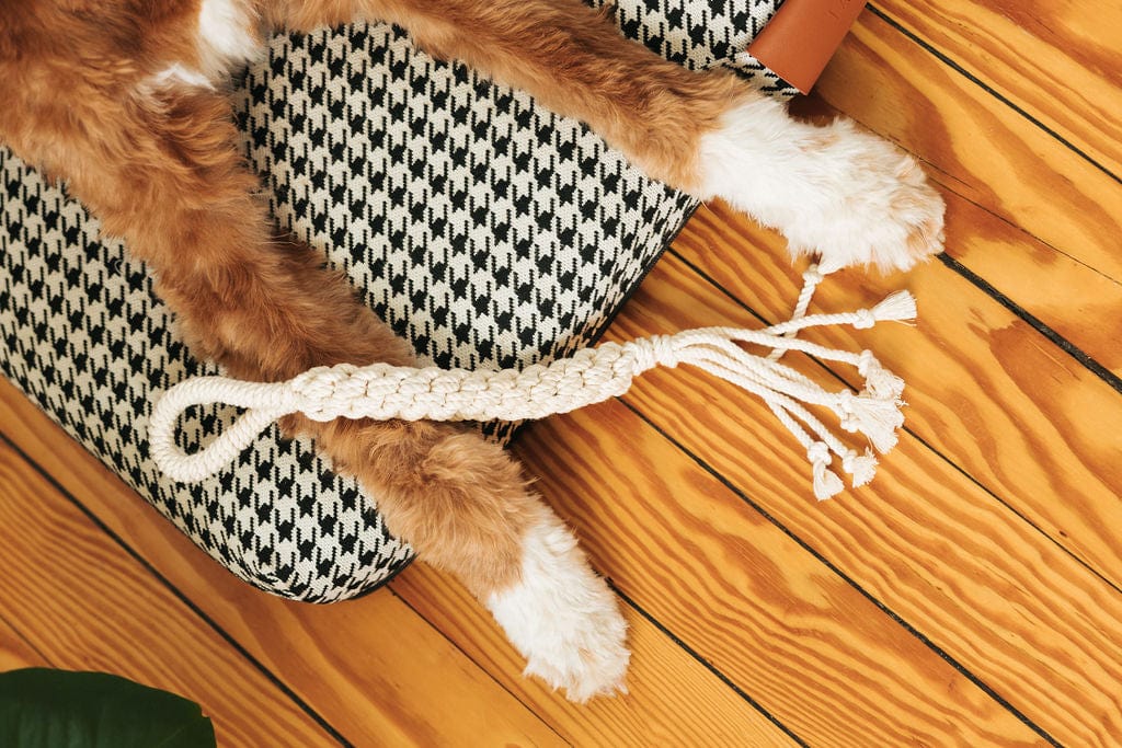 LAY LO Pets Macrame Rope Dog Toys: 2-Pack Lay Lo Pets, macrame dog toy, 