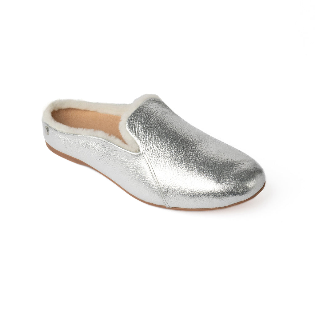 #color_limited-edition-silver