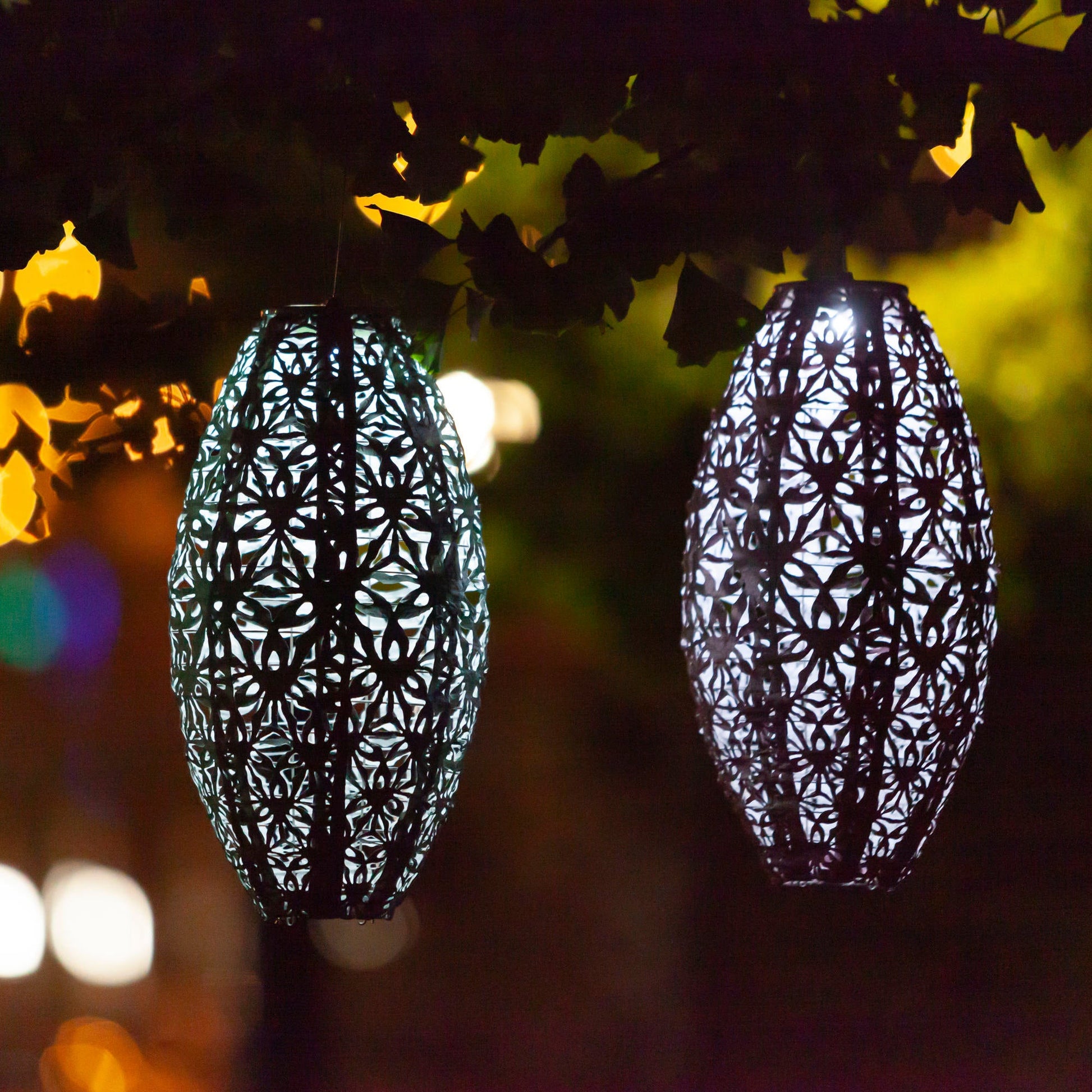 Stella Wildflower Pod Sage and Blush glowing on branch