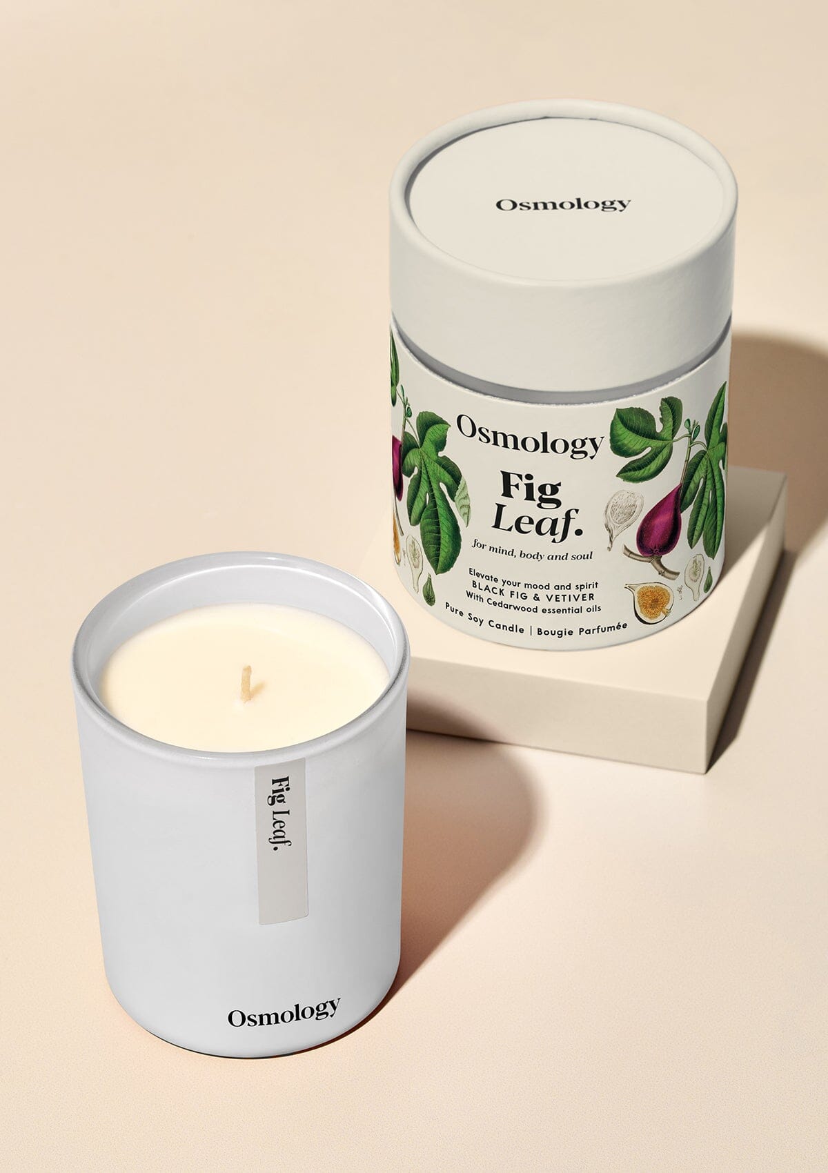 Osmology Fig Leaf candle with decorative product packaging tube on white background 