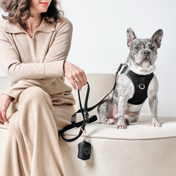 designer dog leashes and collars, designer dog collar and leash, pet accessories designer, fancy harness for dogs, luxury dog harness, fancy dog stuff, pet accessories designer, stylish dog leash