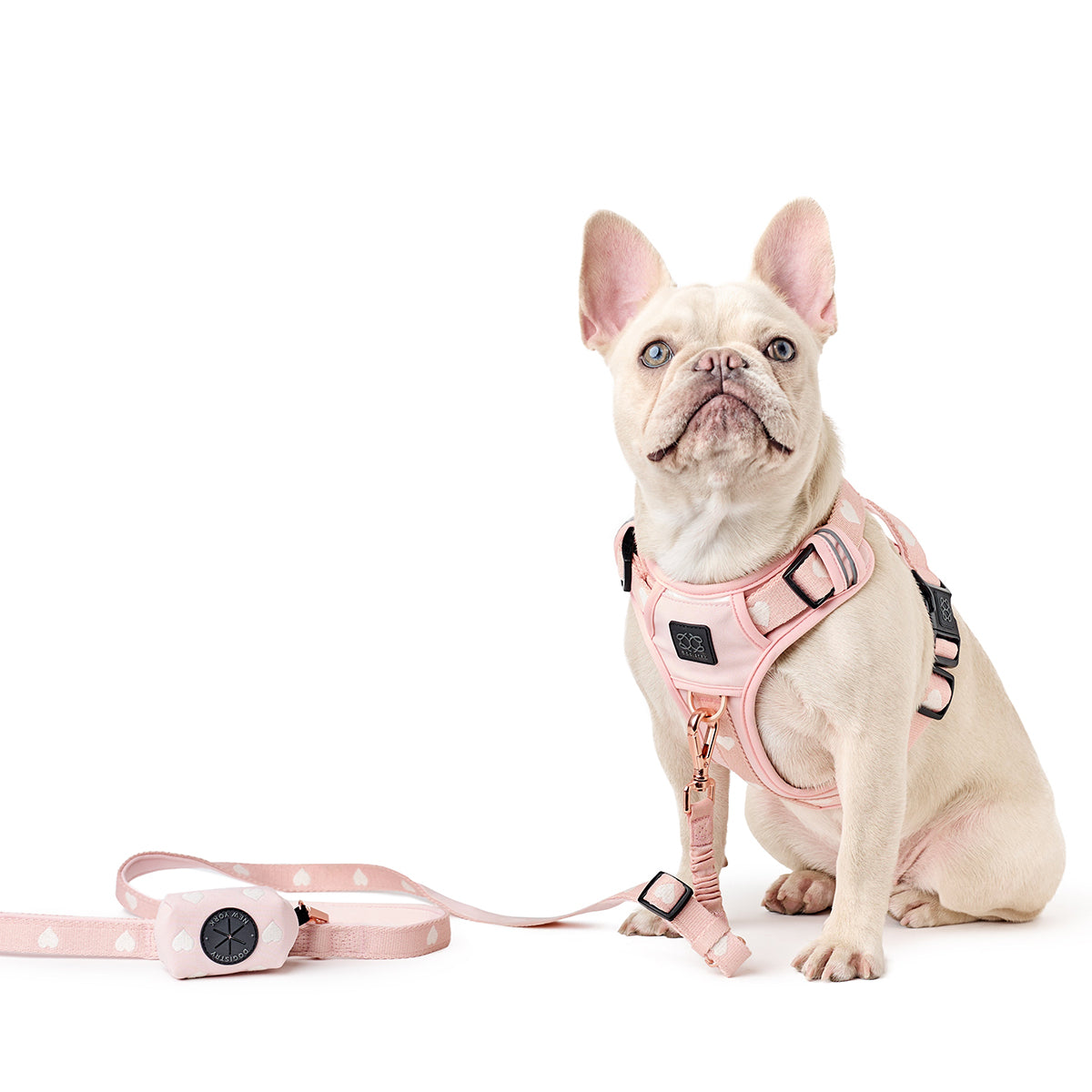 designer dog leashes and collars, designer dog collar and leash, pet accessories designer, fancy harness for dogs, luxury dog harness, fancy dog stuff, pet accessories designer, stylish dog leash