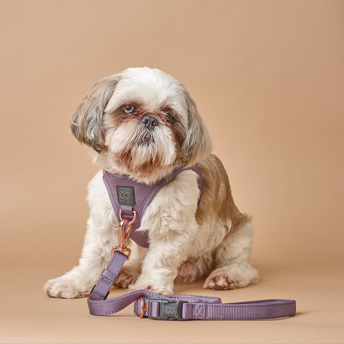 designer dog leashes and collars, designer dog collar and leash, pet accessories designer, fancy harness for dogs, luxury dog harness, fancy dog stuff, pet accessories designer, stylish dog leash