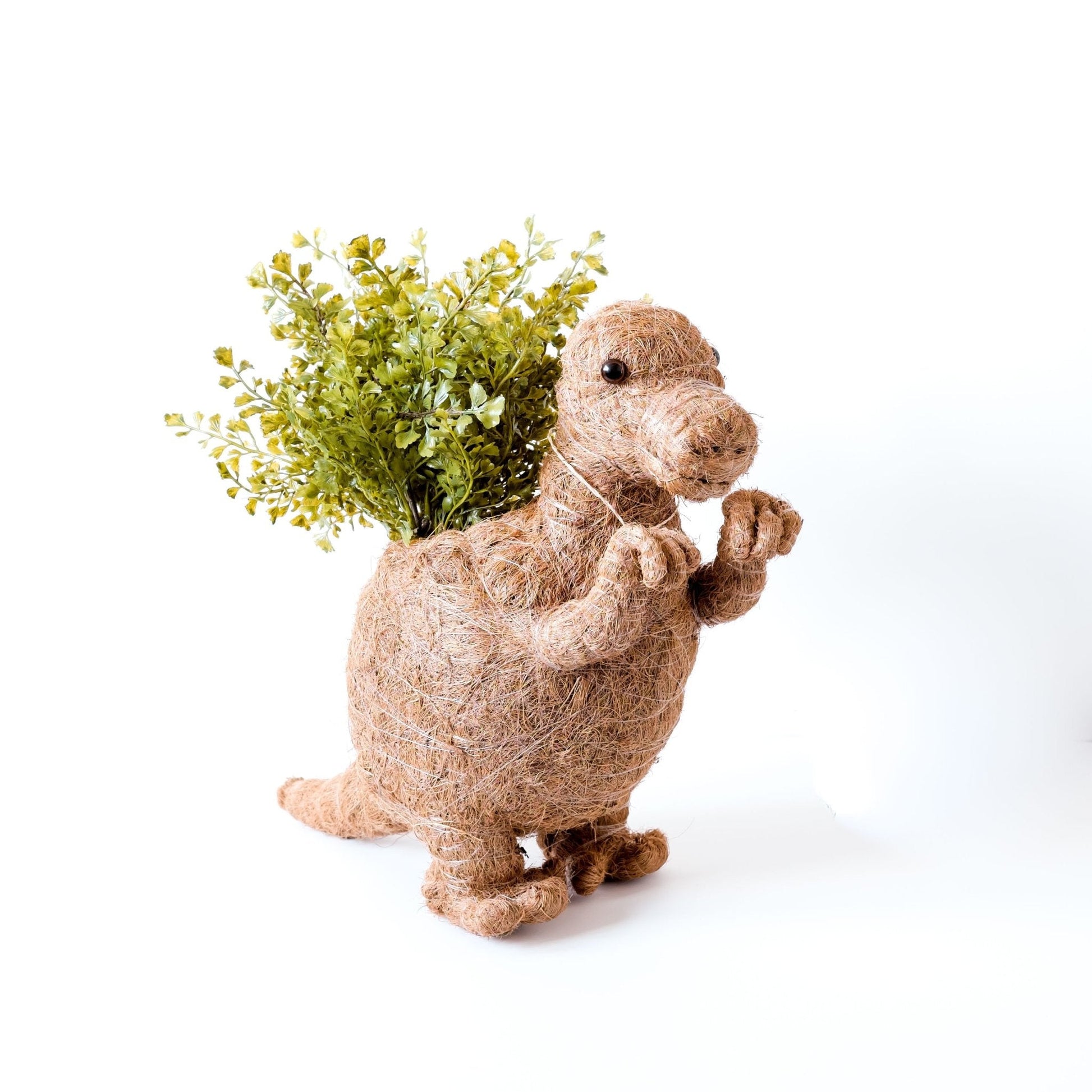 Planters - T-Rex Planter - Coco Coir Pots | LIKHÂ - LIKHÂ