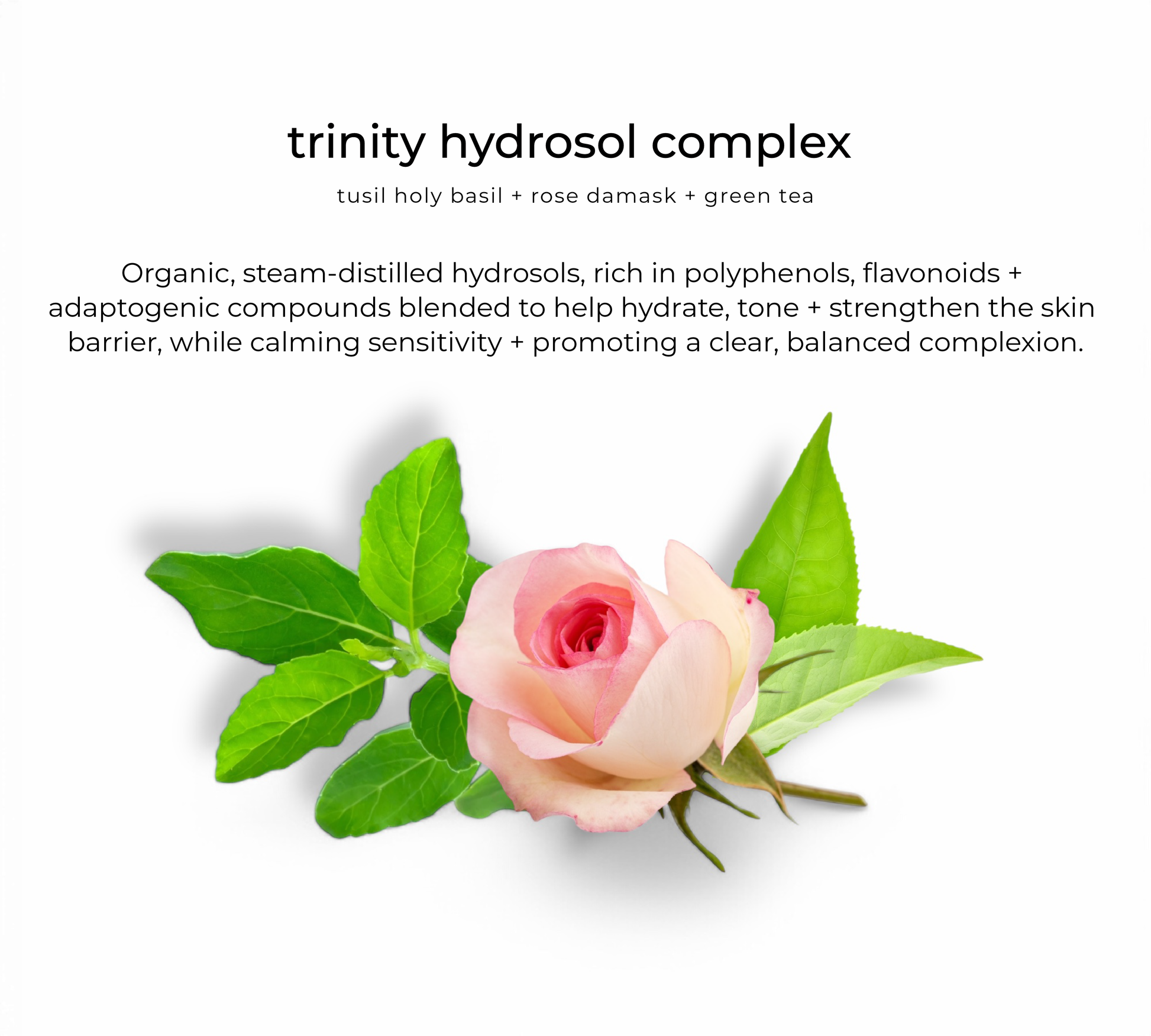 Flora hydrosol blend — key ingredient in Florafirm essence