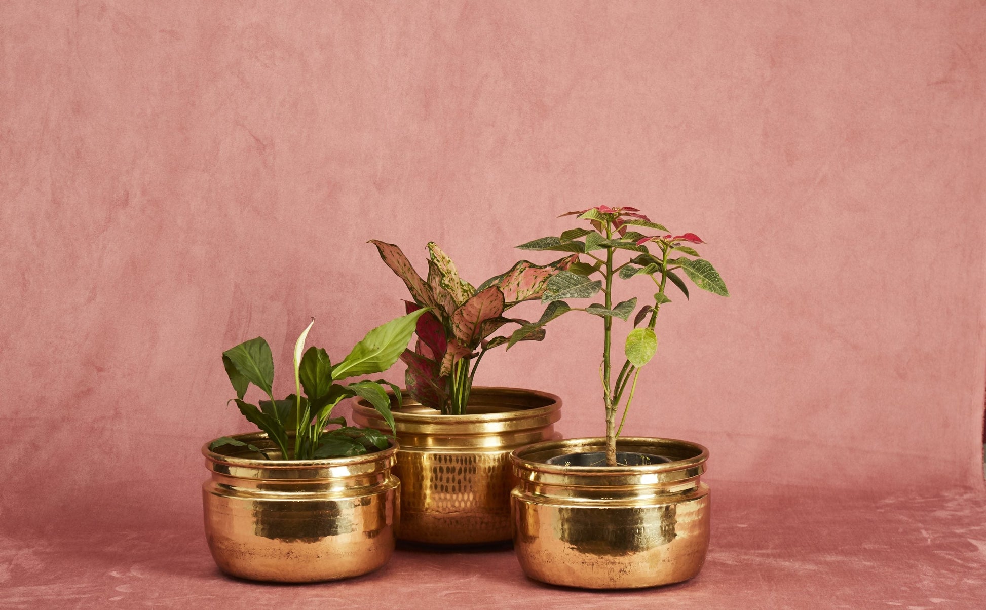 Brass Planters P-TAL