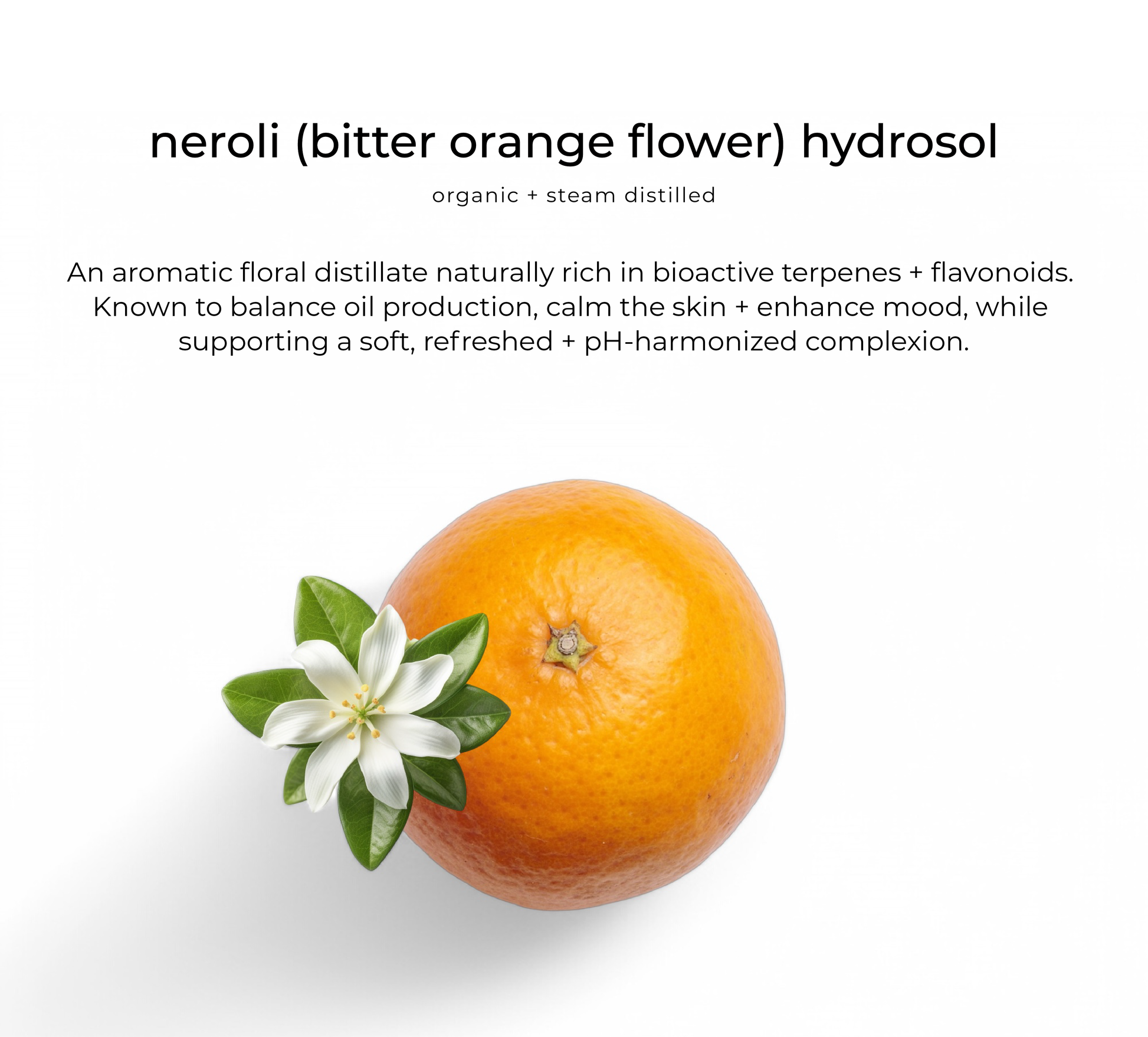 Neroli hydrosol — key ingredient in Dayglow serum
