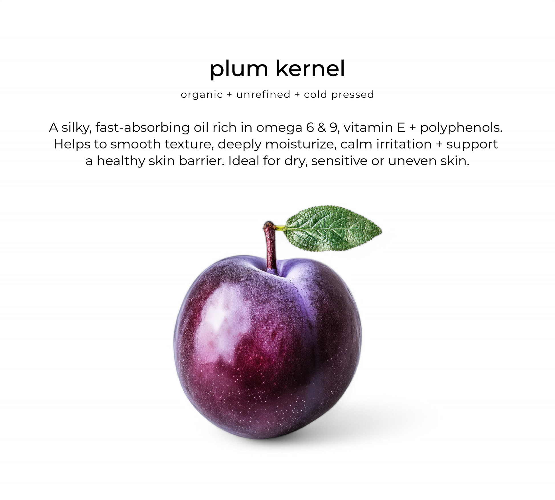 Plum kernel oil — key ingredient in Bloom facial oil