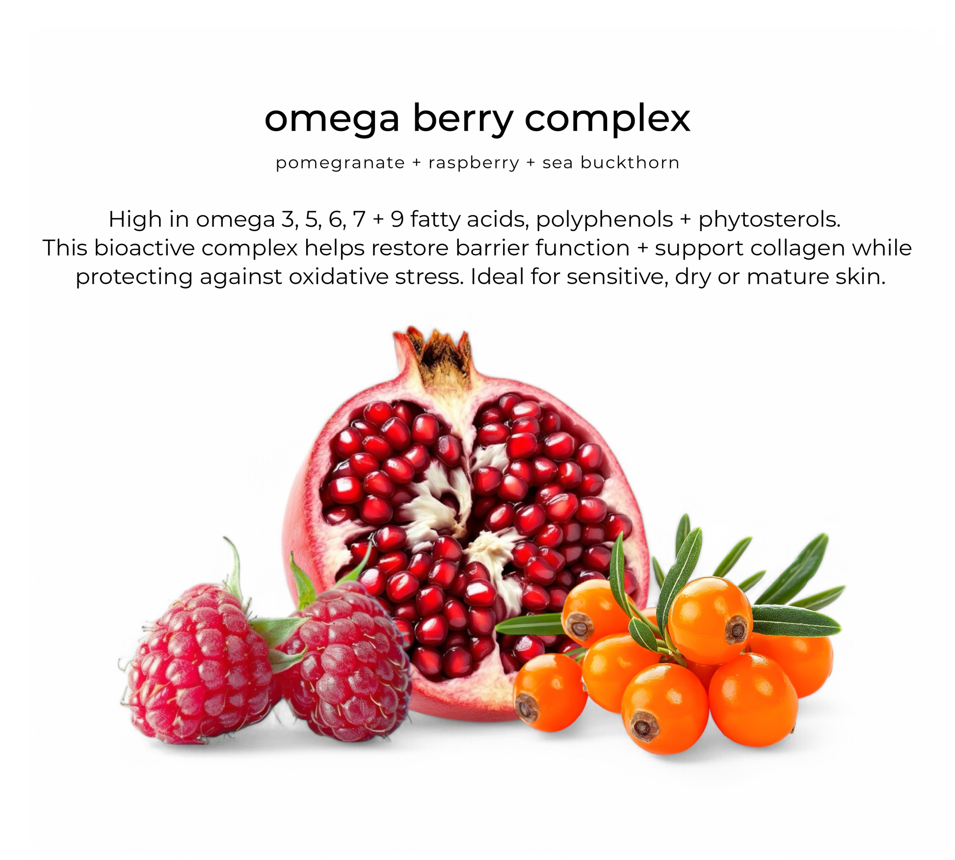 Pomegranate, raspberry + sea buckthorn — key ingredients in Bloom facial oil