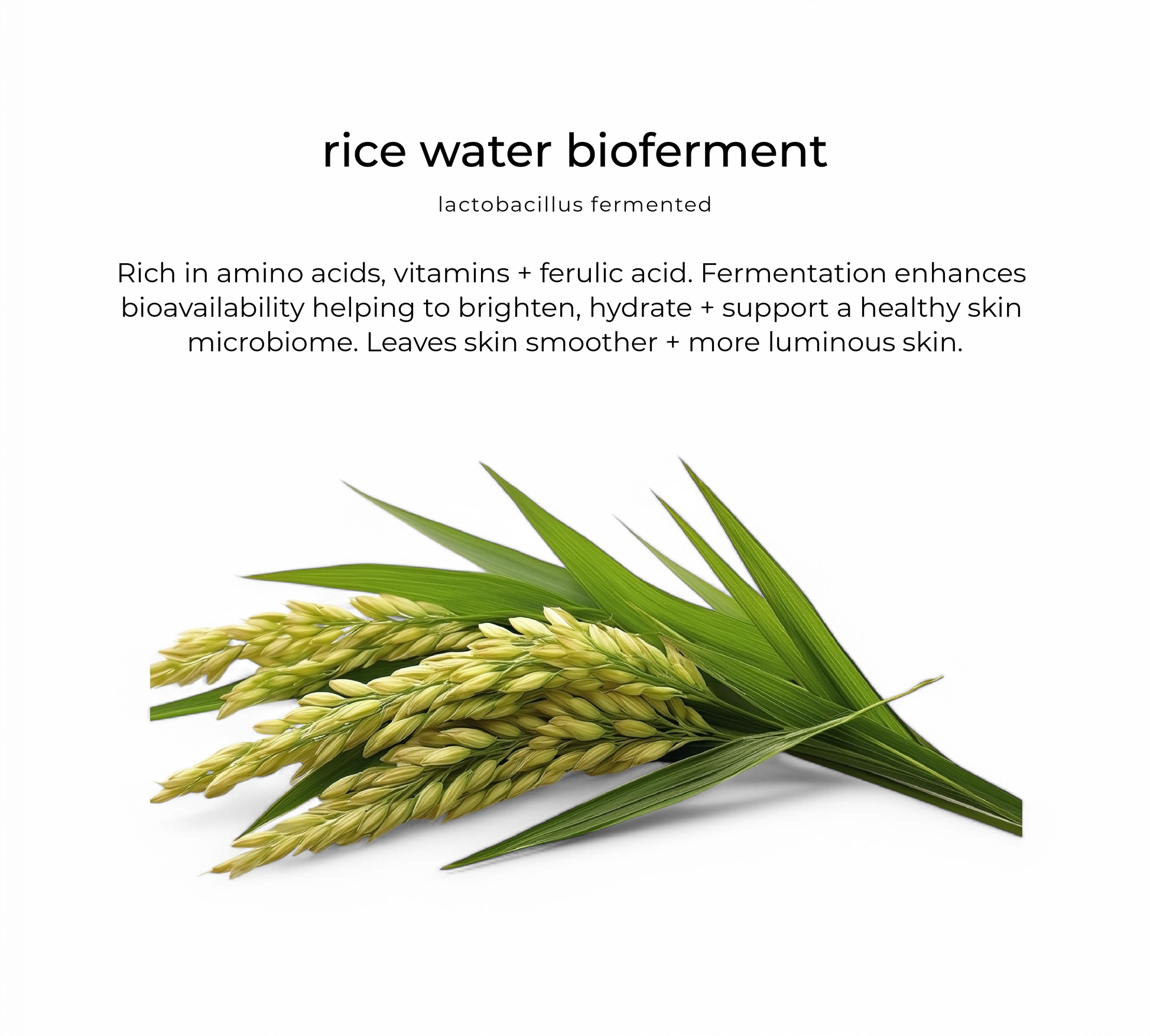 Rice water — key skincare ingredient