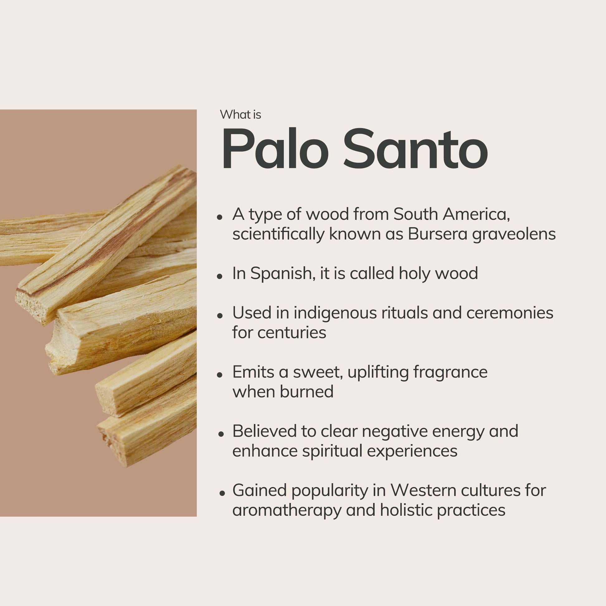 Palo Santo wood sticks with description of origins, aroma, and spiritual uses